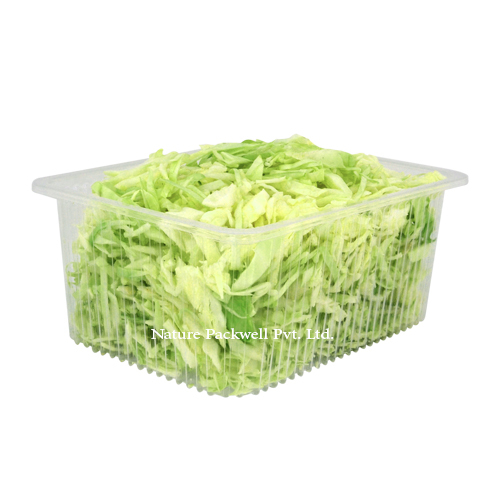 Rectangular container