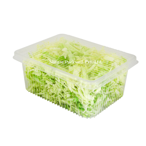 Rectangular container