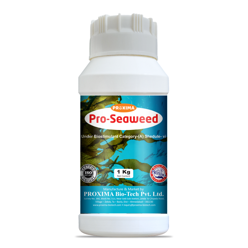 PRO Seaweed