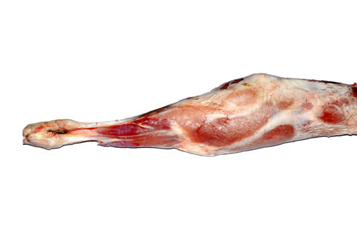 Frozen Mutton Leg