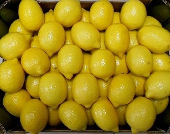 Best Quality Lemon