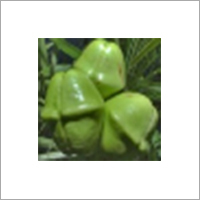 Herbal And Botanical Products