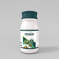 Prakhar