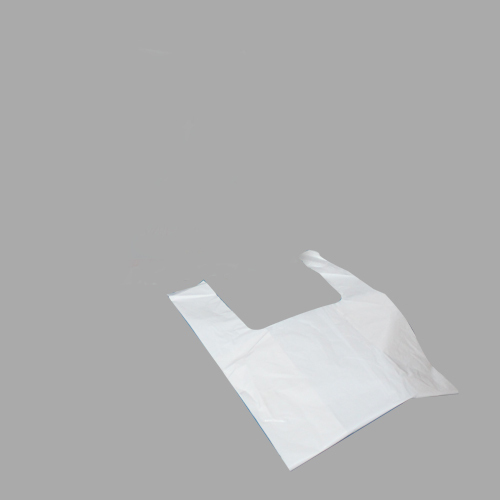 Non Woven Carry Bag