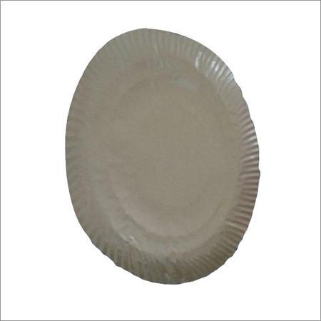 Paper Plate