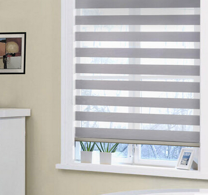 Zebra Blinds