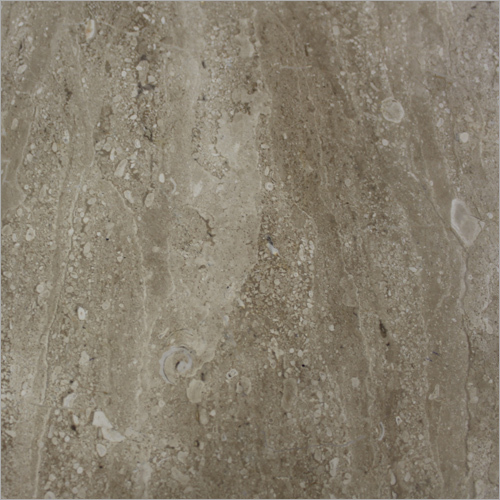 Dayna Imported Marble