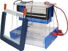 Electrophoresis Unit