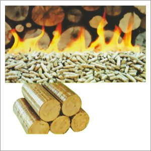 Biomass Briquettes