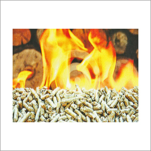 Biomass Briquette