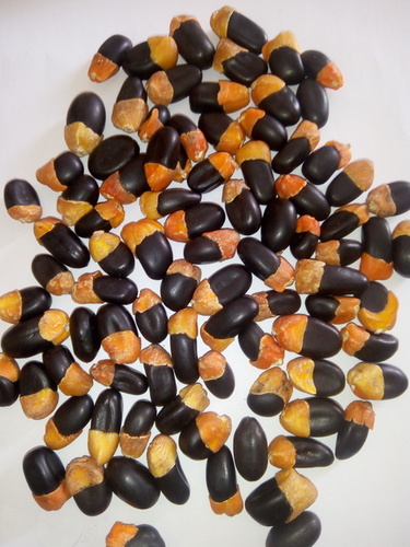 Urgynuts herbal seeds