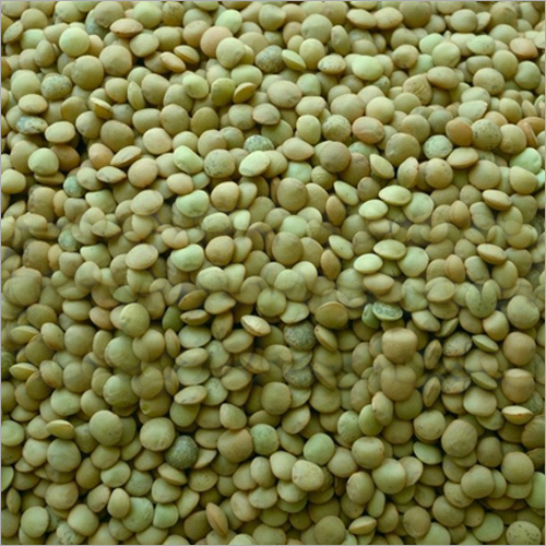 Mung Bean