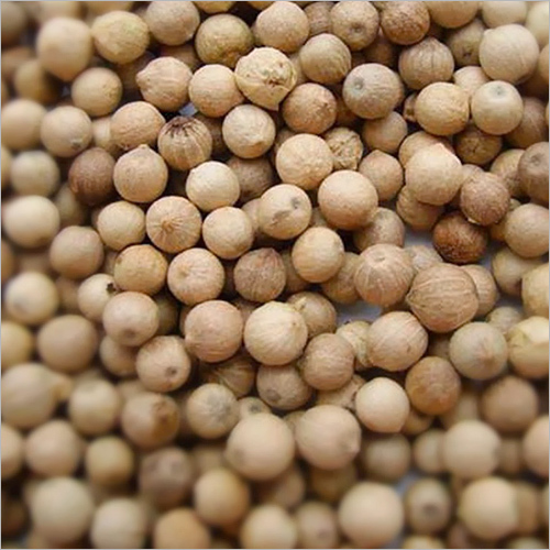 White Pepper