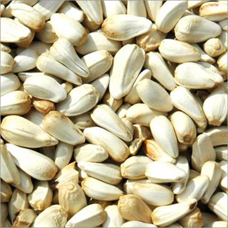 Safflower Seeds