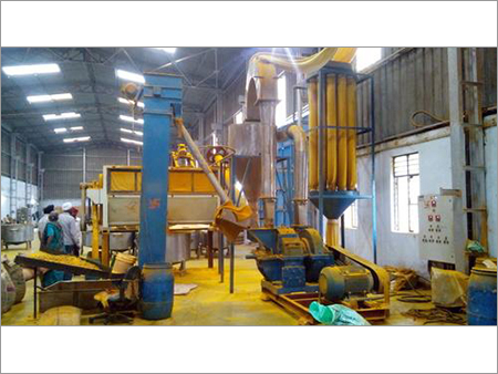 Turmeric Powder Plant