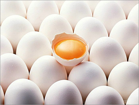 Chicken Eggs