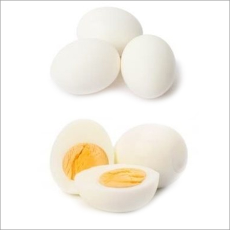 White Chicken Eggs