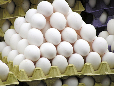 Farm Fresh White Eggs