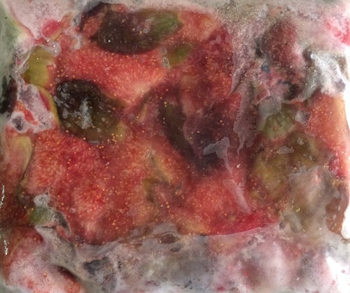 FROZEN ANJEER