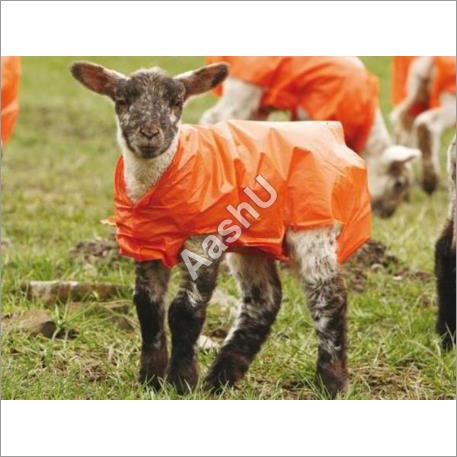 Lammac Polythene Jackets for Lambs