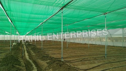 Inside Green House