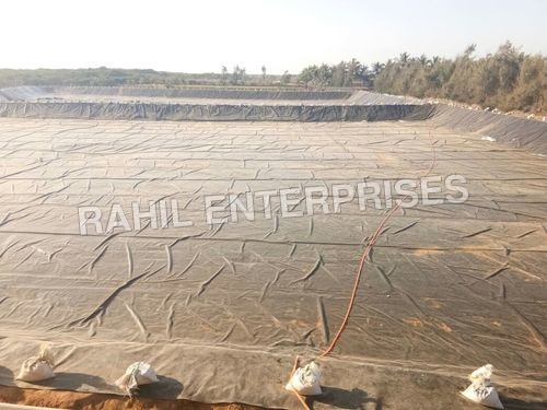 Gujarat Pee Lining