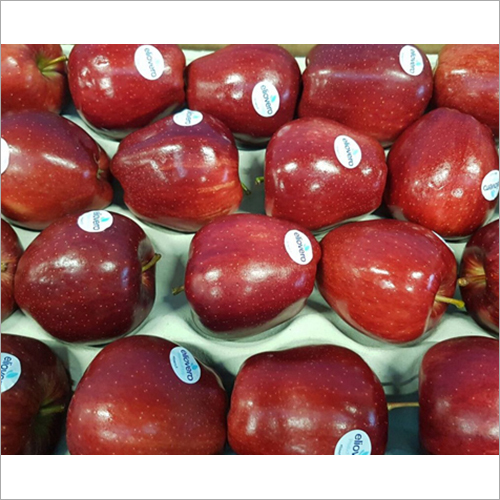 Fresh Apples