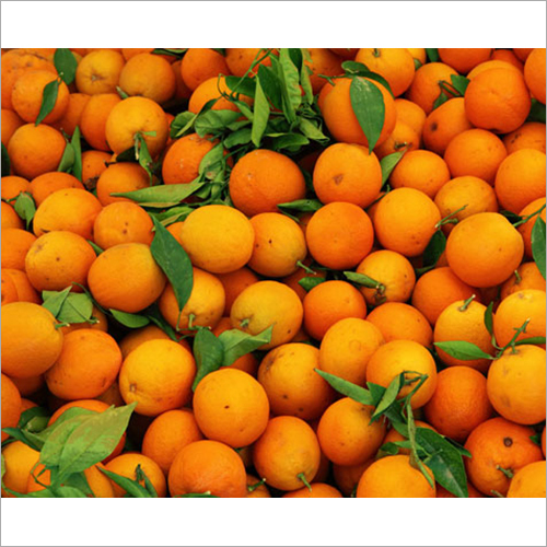Fresh Oranges