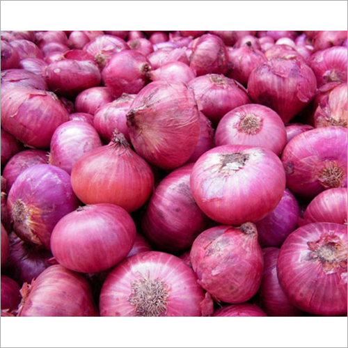 Fresh Onion