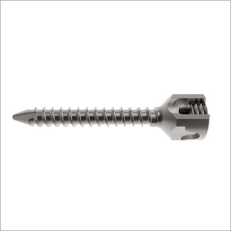 Fixed Axial Screw