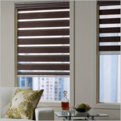 Double Roller Zebra Blinds