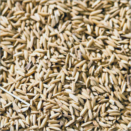 Whole Rice Grain