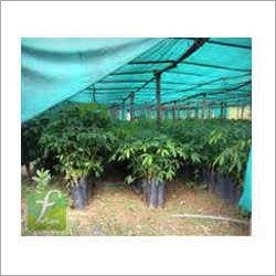 Agro Net