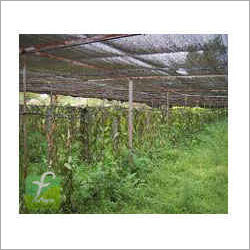 Farm Shed Net