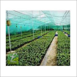 Agro Shed Net