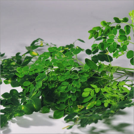 Herbal Leaves