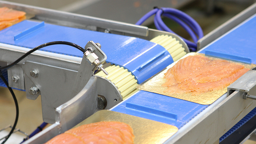 Conveyors Drives & control