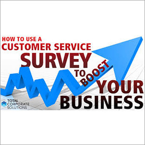 Business Survey Services