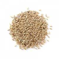 Canary-seed