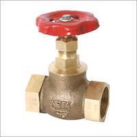 Leaded Tin Bronze (IS-318 Gr  LTB2) Globe Valve