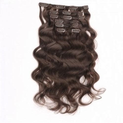 Remy Virgin Clip On Hair Extensions