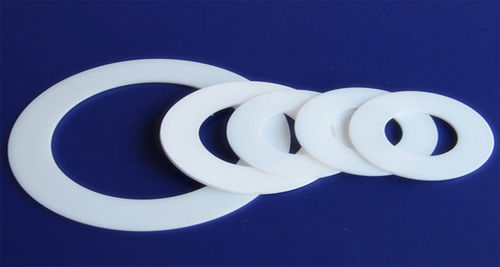 PTFE Gasket