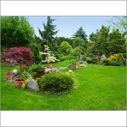 Front Yard Garden Landscaping