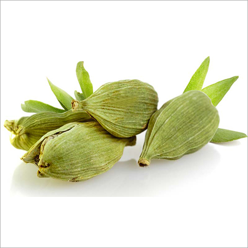 Fresh Cardamom