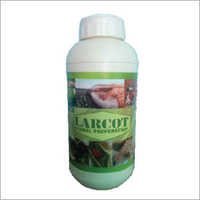 Larcot