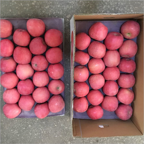 Fresh Apple