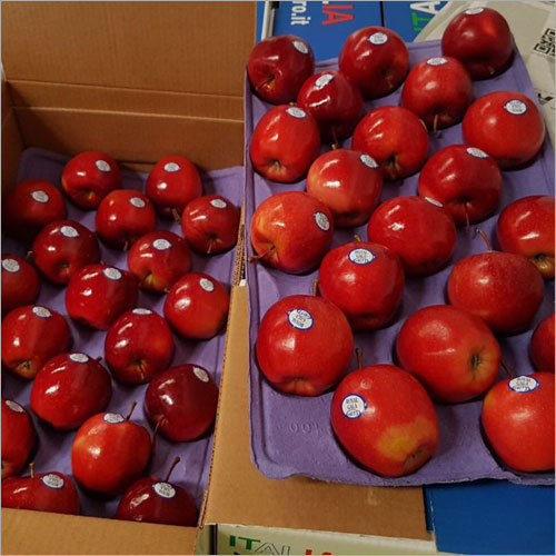 Fresh Apple