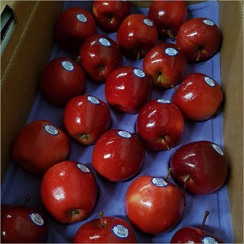 Fresh Apple