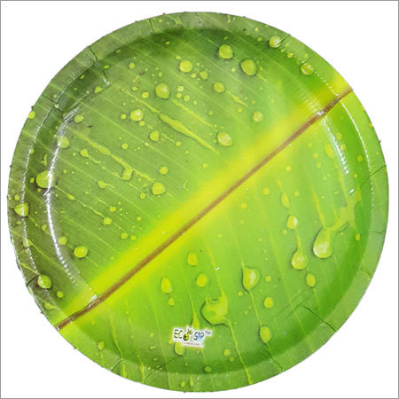 Eco Friendly Disposable Plate