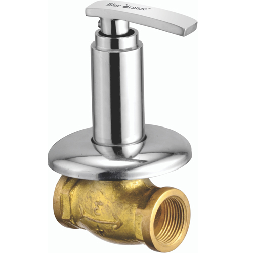 Blueberry Collection